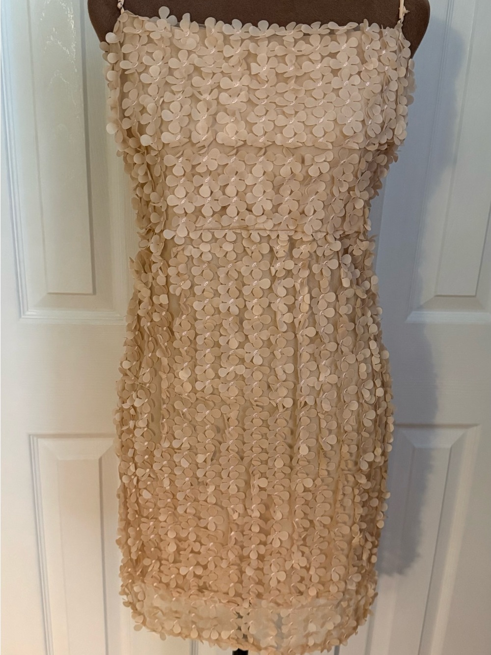 Anthropologie Strapless Beige Floral Appliqué Dress
